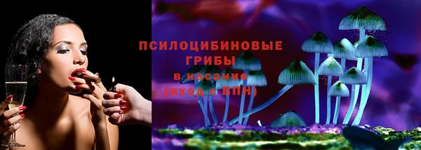 a pvp Осинники
