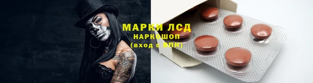 a pvp Осинники